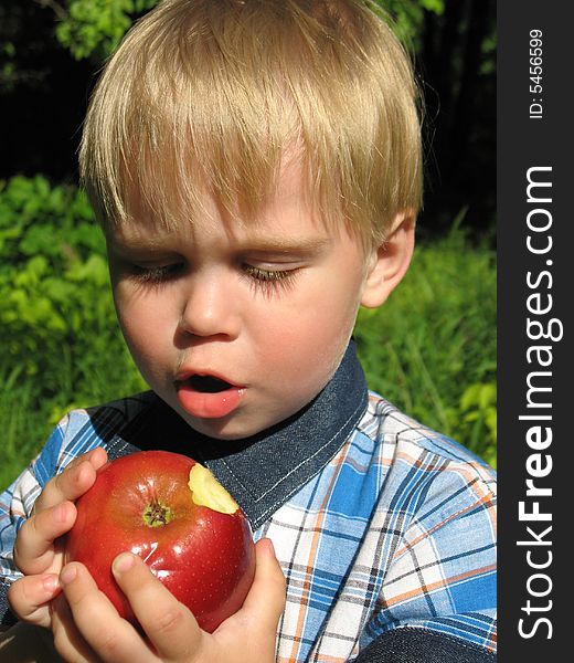 The little boy with concentration eats an apple. The little boy with concentration eats an apple