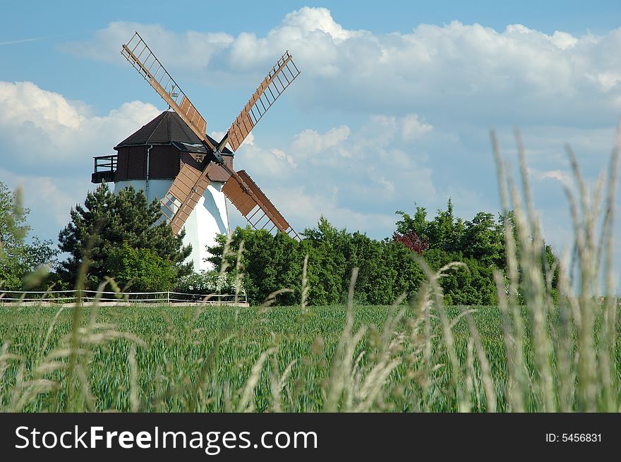 Windmill sourrounded by a corn field