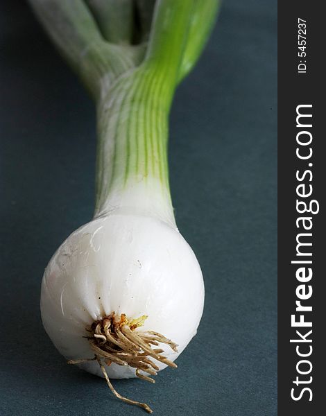 Young onion isolated on black background