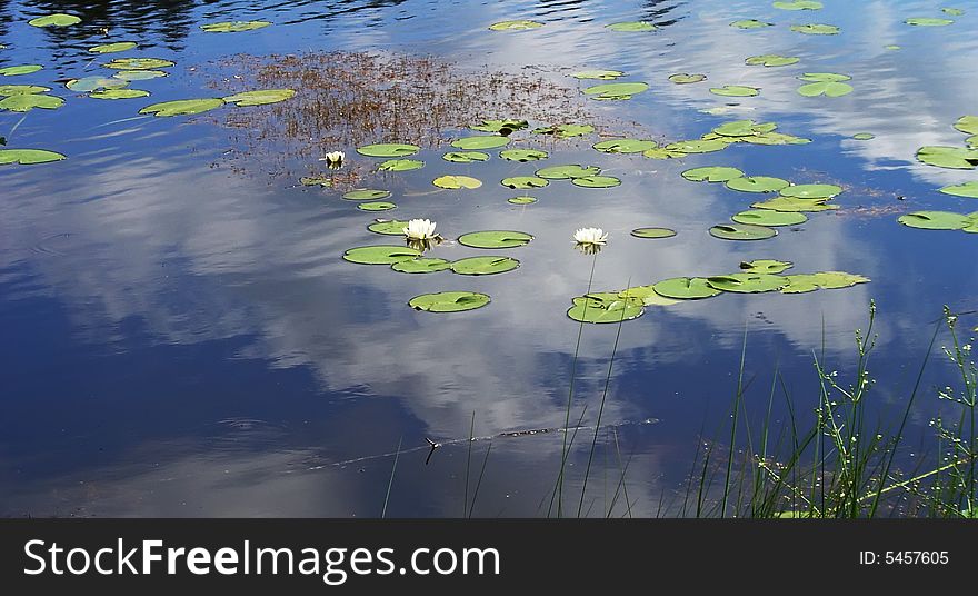 Perfect lake in one of Scandinavian countries