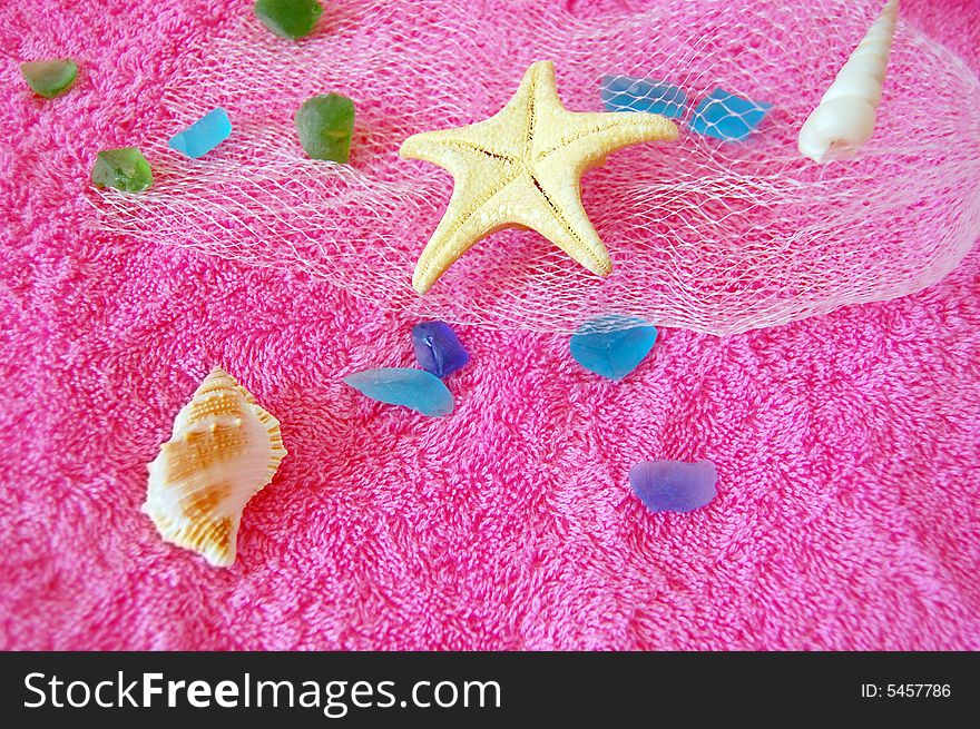 Seashell collage on pink towel. Seashell collage on pink towel