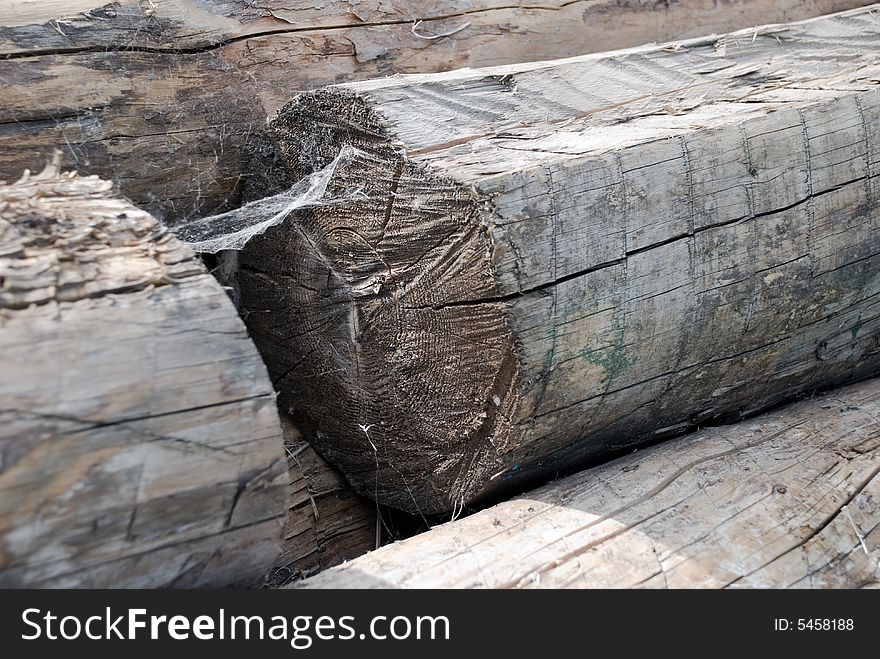 Old Logs