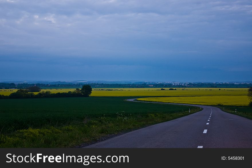 Rape fields in the evening