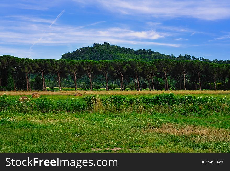 This is the country not so far from Rome (Italy). This is the country not so far from Rome (Italy)