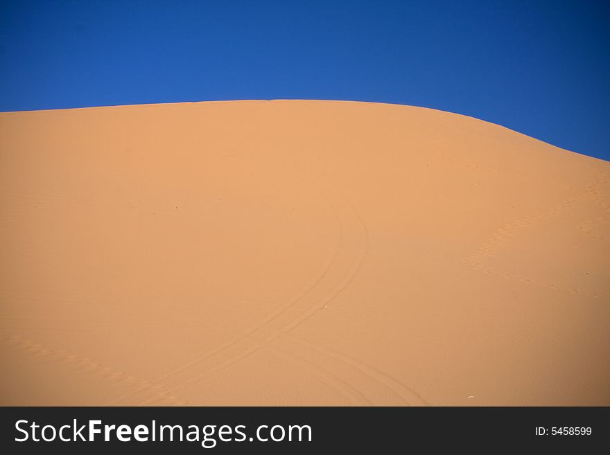 Utah Sand Dunes