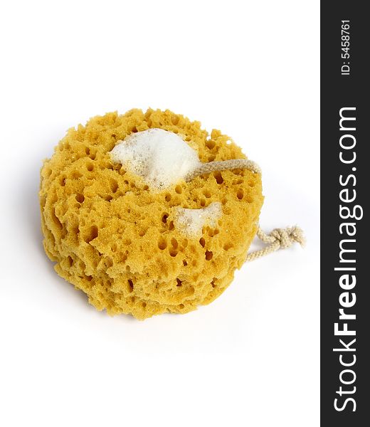 A natural wild sponge with foam