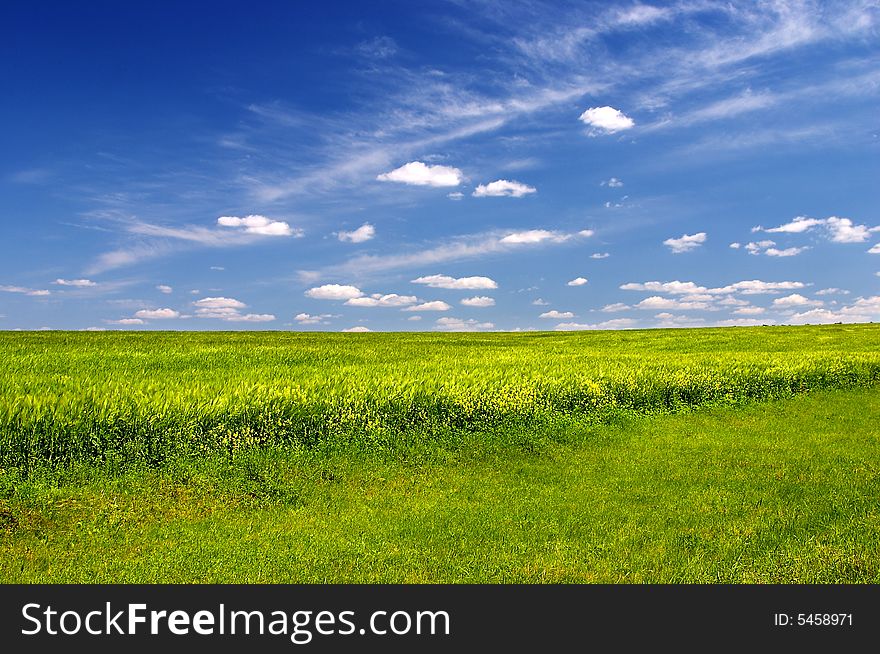 Colorful green field with cloudy blue sky
