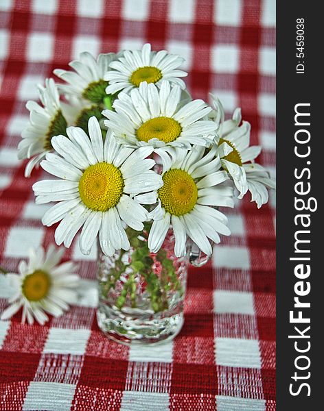 Wild Daisy Bouquet