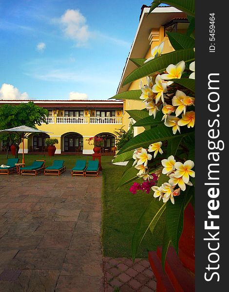 A beautiful resort in yellow with nice flowers in the garden. A beautiful resort in yellow with nice flowers in the garden.