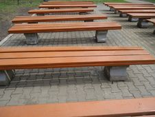 Benches. Royalty Free Stock Image