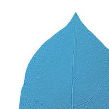 Blue Toned Leaf Royalty Free Stock Image
