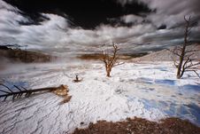 Yellowstone Terraces, Infrared Royalty Free Stock Photography