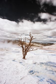 Yellowstone Terraces, Infrared Royalty Free Stock Photography