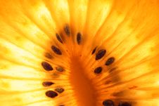 Queen Kiwi Slice Stock Images Queen Kiwi Slice Stock Images