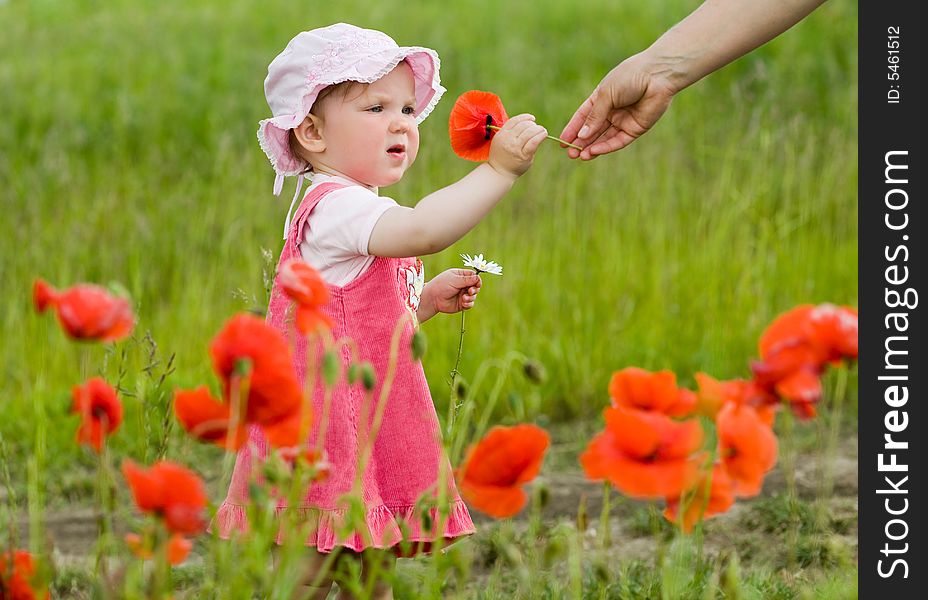 An image of nice baby-girl amongst green field with red poppies. An image of nice baby-girl amongst green field with red poppies