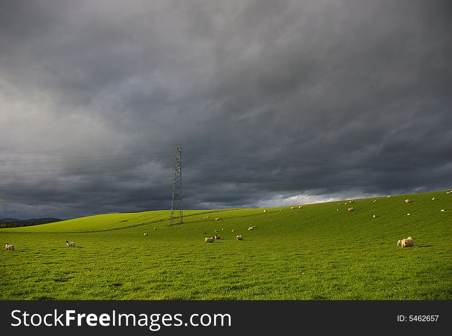 Green fields with power cable