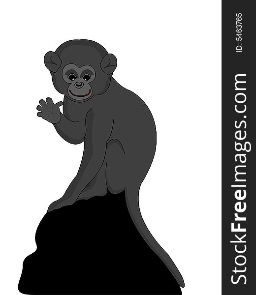 Monkey child on isolated background