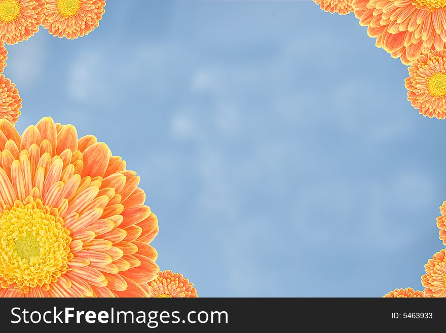 Frame made from colorful flowers with a blue sky background. Frame made from colorful flowers with a blue sky background