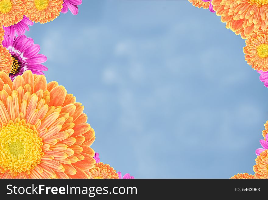 Frame made from two kinds ofcolorful flowers with a blue sky background. Frame made from two kinds ofcolorful flowers with a blue sky background