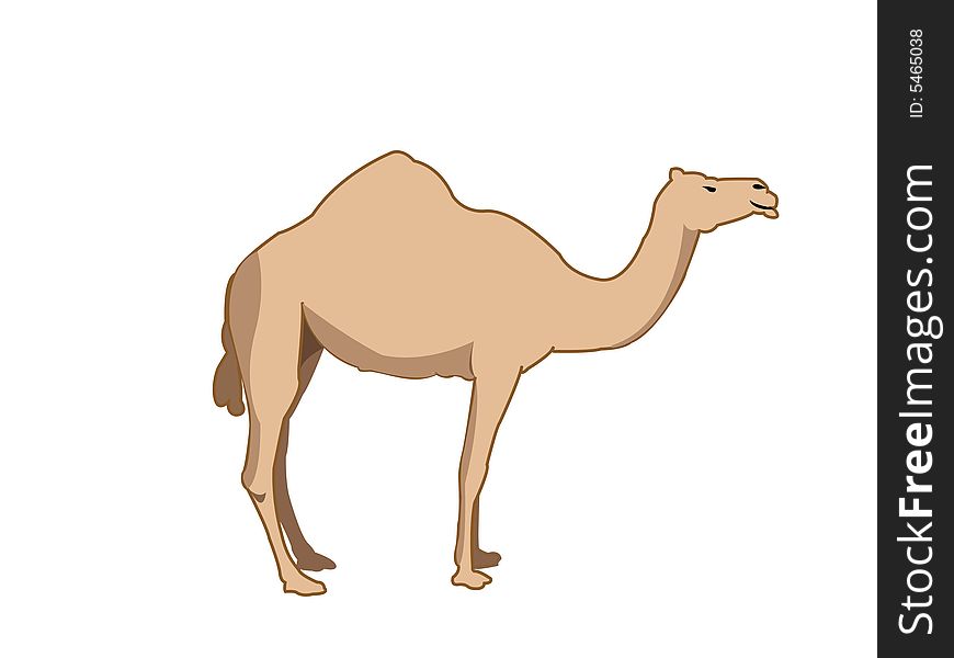 Camel standing with abstract background