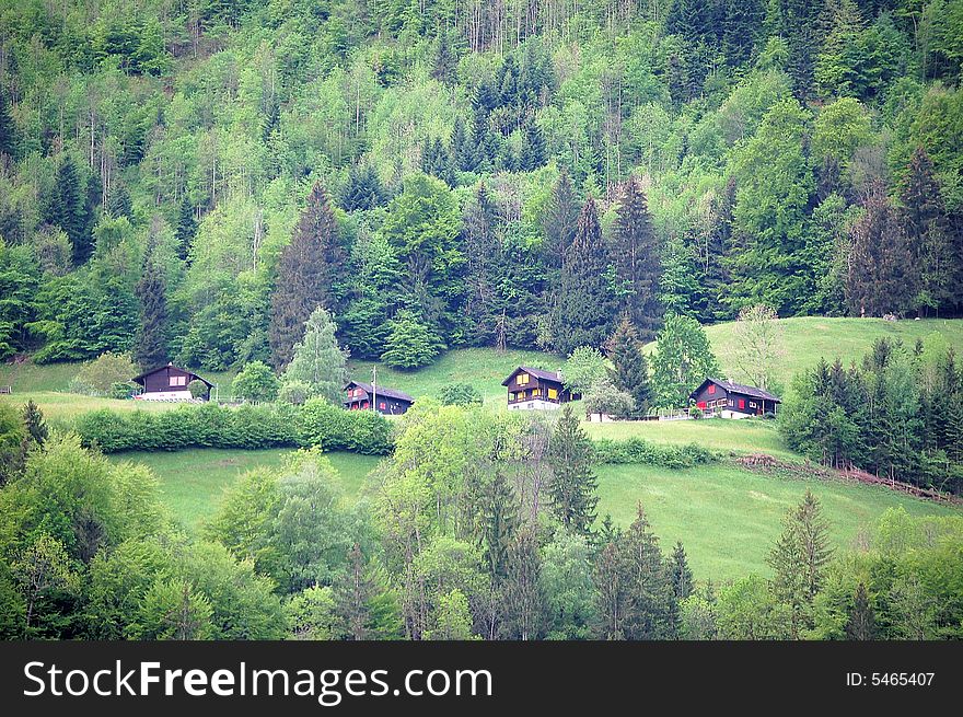 Houses in forest, Mount titlis