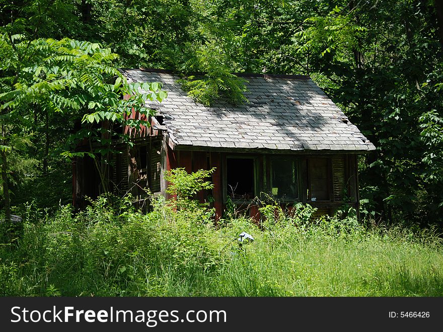 Rustic old cabin in the woods surrounded by tall green grass and trees