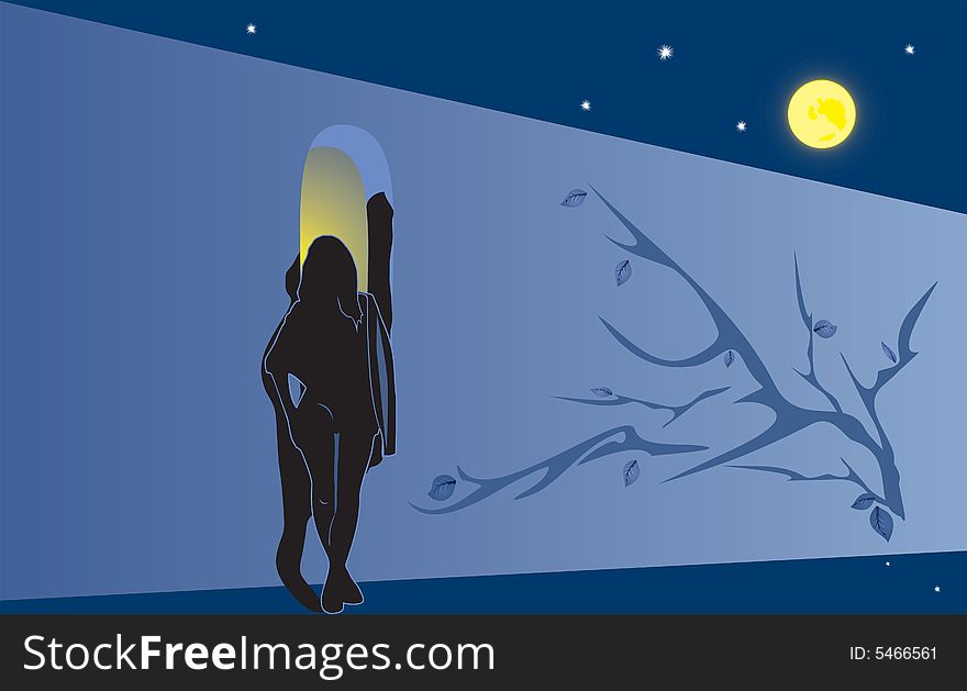 Silhouette of the girl at a wall a moonlight night