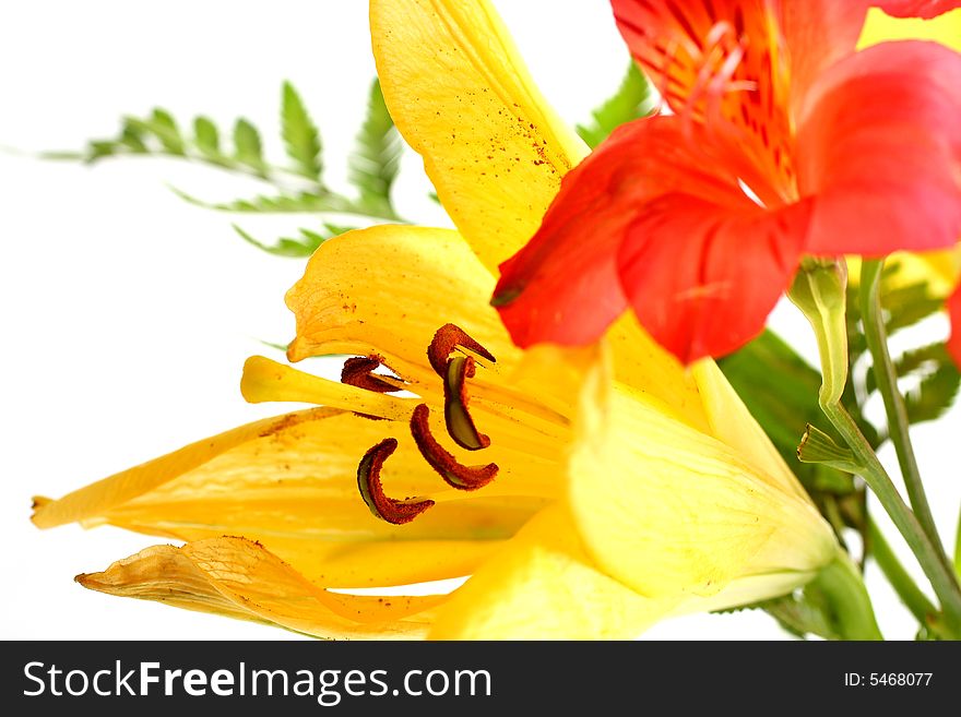 Bouquet Of Lilies