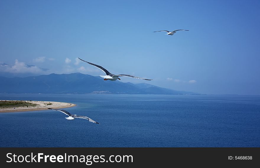 Summer sky, blue ocean and flying seagulls in Greece