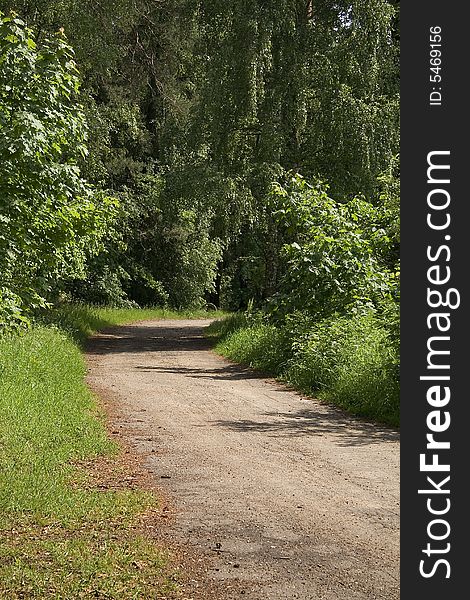 Road, soil, wood, Russian, summer, day, solar, bright, sun, greens, deciduous. Road, soil, wood, Russian, summer, day, solar, bright, sun, greens, deciduous