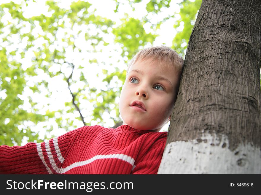 Boy And Tree