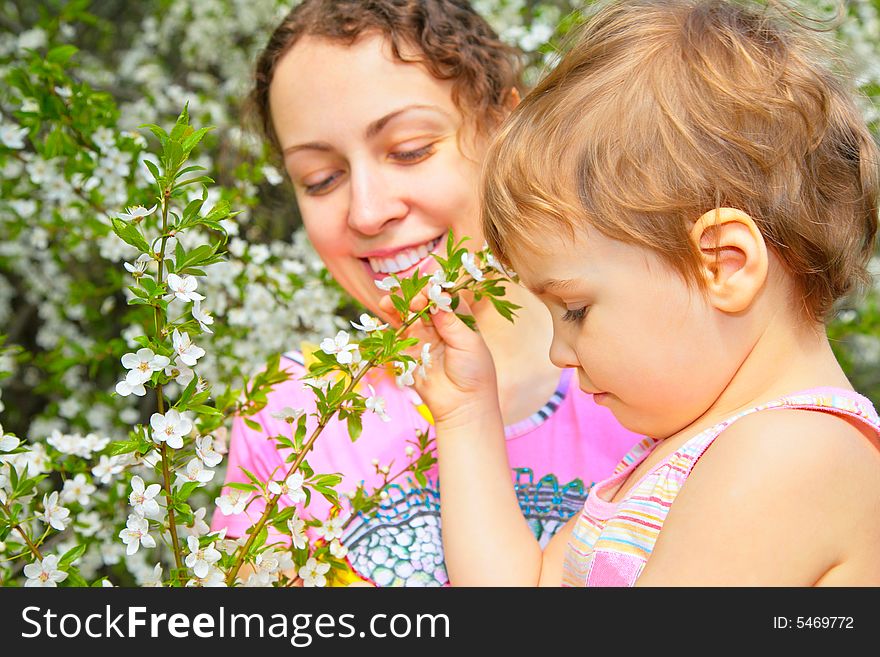 Mother and daughter look on a blossom cherry