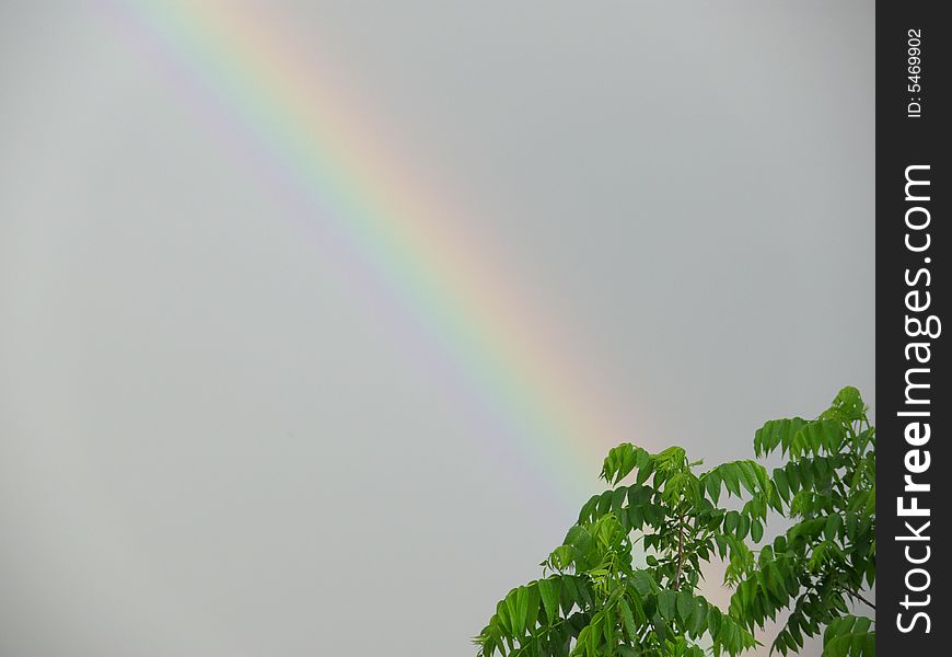 Rainbow after the rain with gray sky