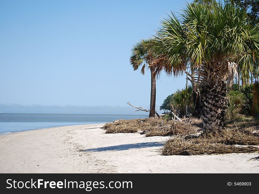 Cloudless sky, sandy beach, provide a place of solitude