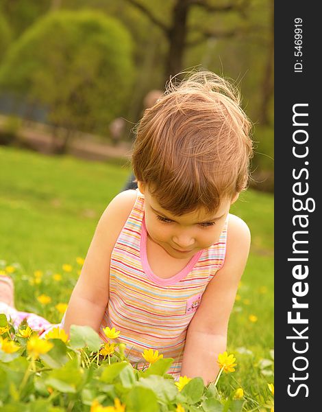 Little girl looks on a yellow flower on lawn