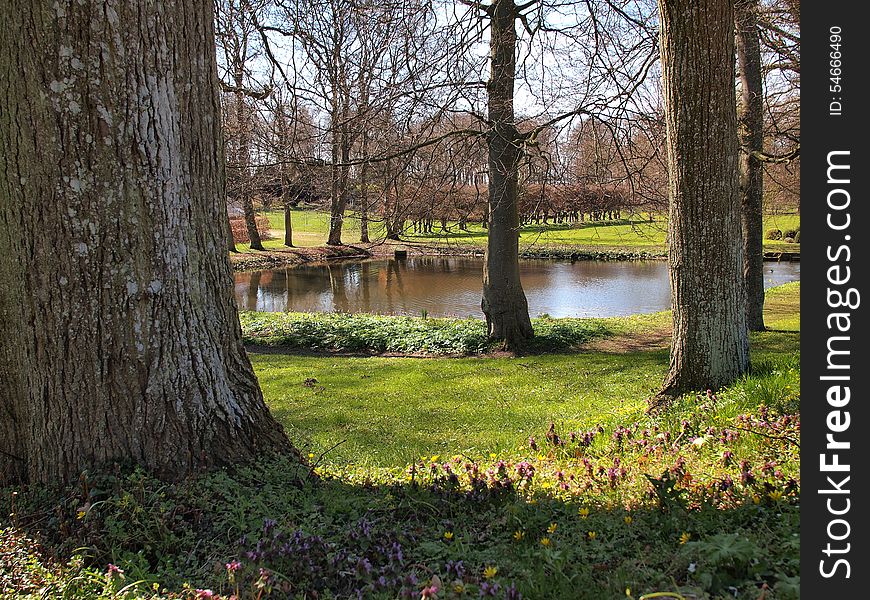 Small pond lake with trees