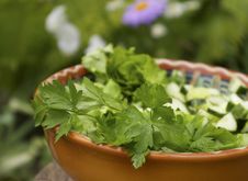 Salad In A Ceramic Bowl Stock Photos Salad In A Ceramic Bowl Stock Photos