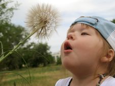 Little Girl Blowing Dandelion Seeds Royalty Free Stock Photography