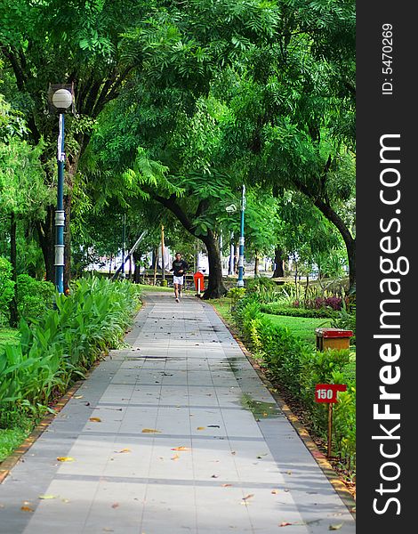 Green fresh park ideal for jogging. Green fresh park ideal for jogging