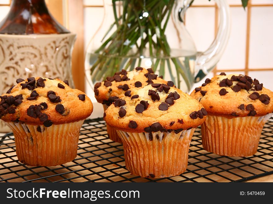 Chocolate chip muffins in kitchen or restaurant or bakery.