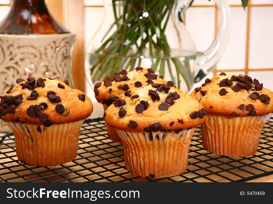 Chocolate Chip Muffins