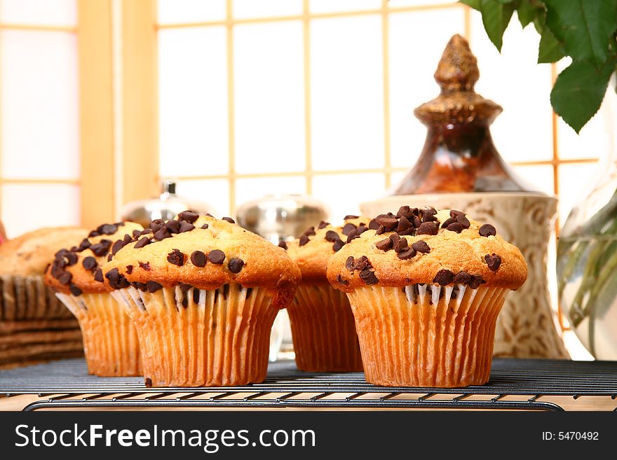 Chocolate chip muffins in kitchen or restaurant or bakery.