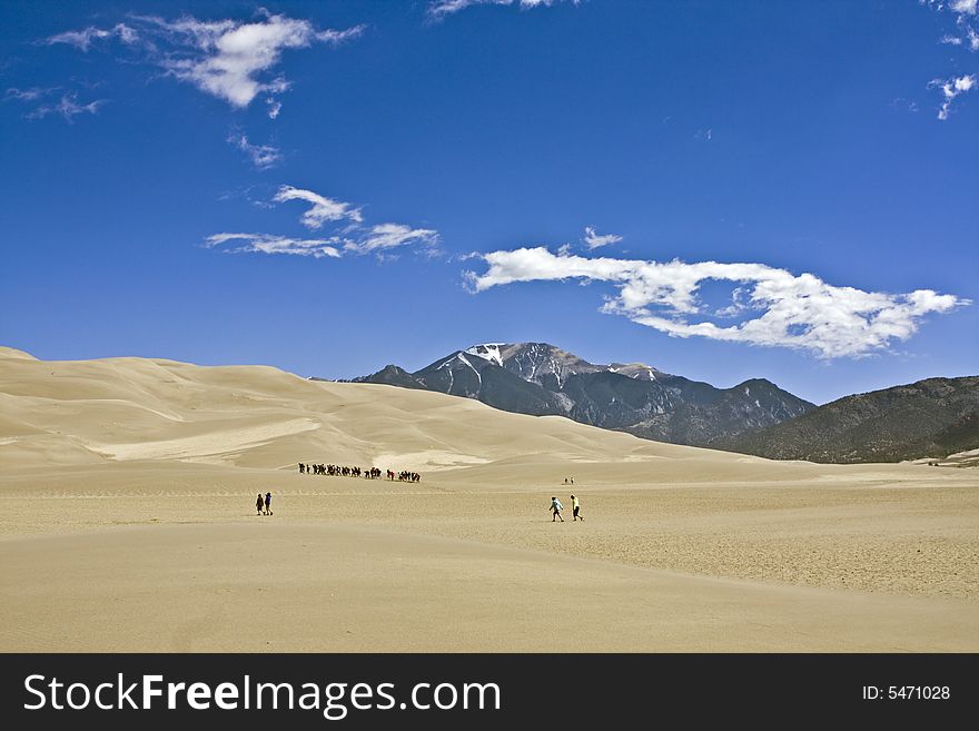 Caravan of tourists - Great Sand Dunes National Park
