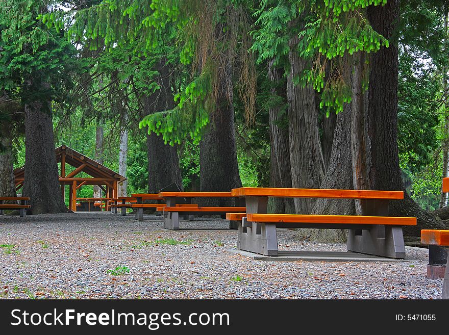 Picnic area at Lakelse Lake surrounded by old growth trees