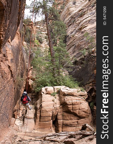 A canyon explorer repelling near Zion National Park, Utah. A canyon explorer repelling near Zion National Park, Utah.