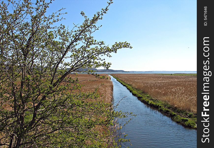 Small river stream flows into the sea