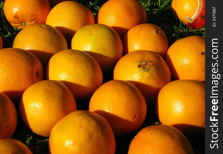 Close-up the ripe oranges