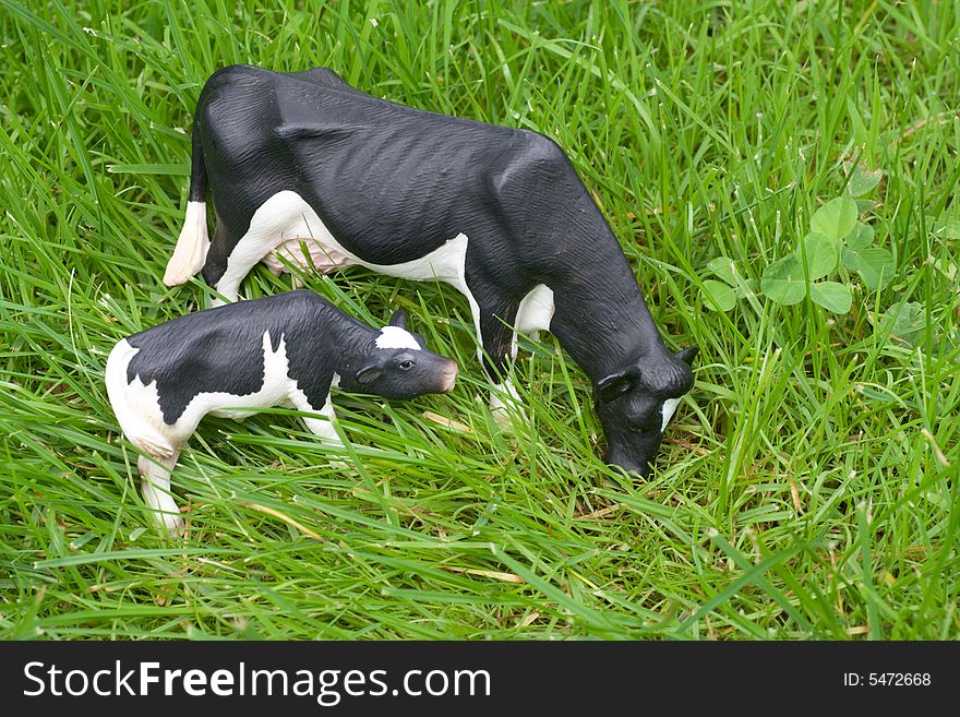 Cow and Calf in a meadow