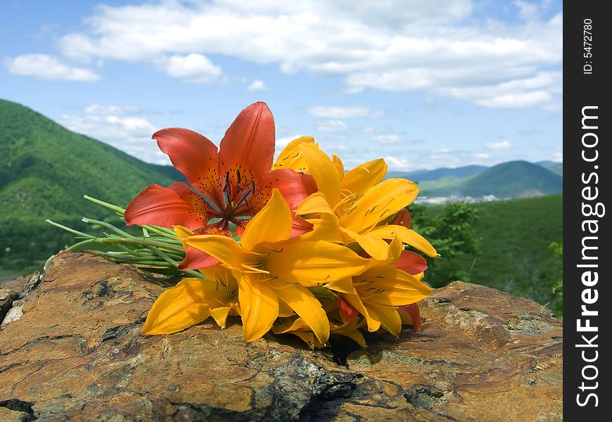 bouquet lily rests upon stone