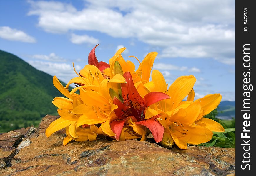 bouquet lily rests upon stone